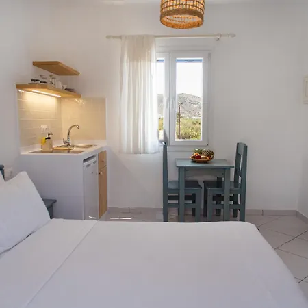 Ikaros & Aparthotel Naxos City