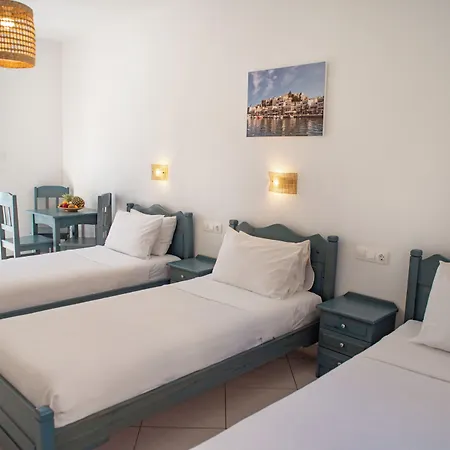 Ikaros & Aparthotel Naxos City